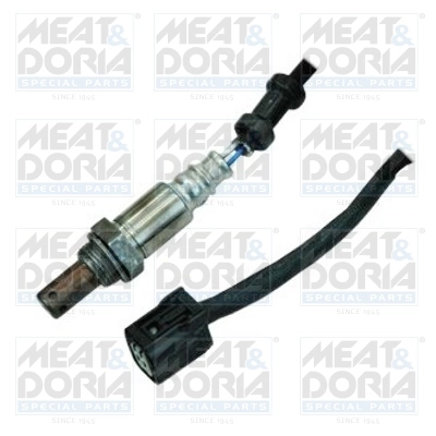 Oxygen Sensor
